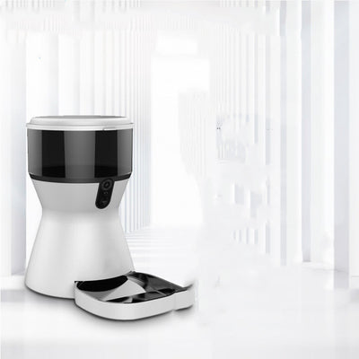 Quantitative automatic feeding device